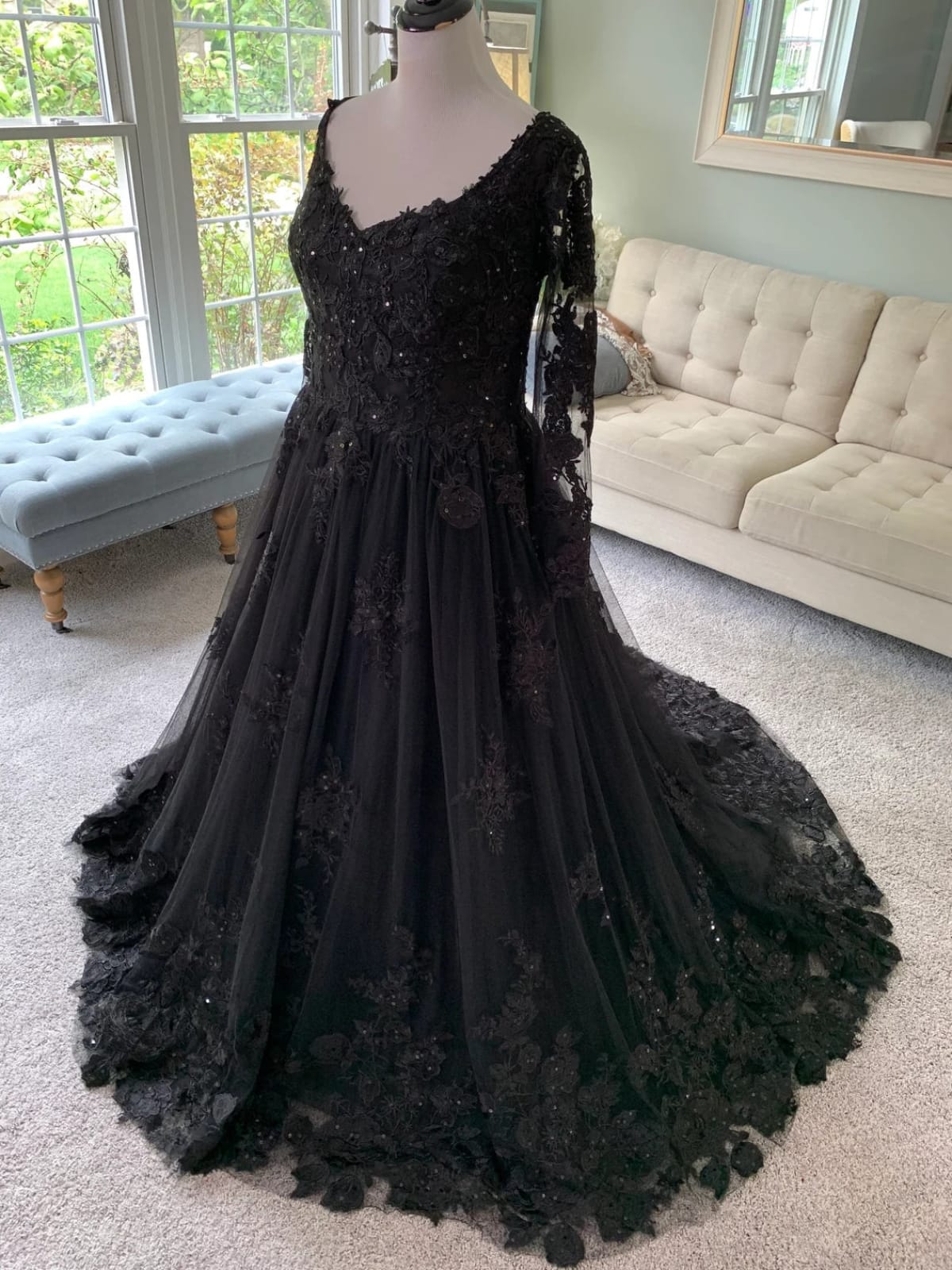 Princess Court Train Tulle Gothic Wedding Dress LD4622