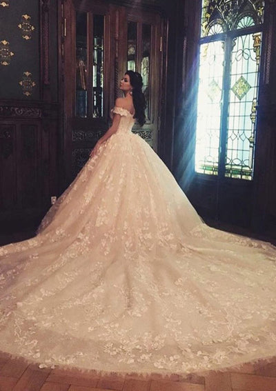 Princess Cathedral Train Tulle Wedding Dress LD4349